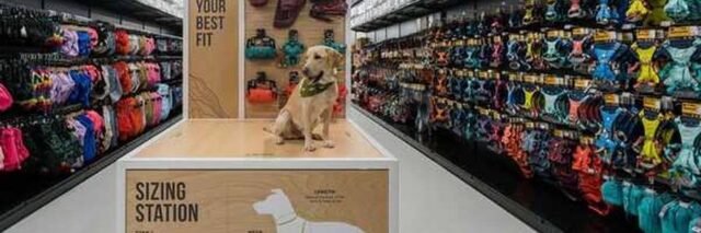 Homes Alive Pets Pet Store 6