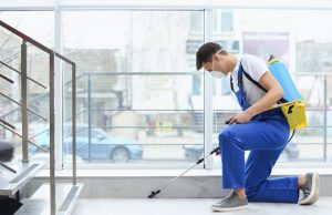 Affordable Pest Control Oshawa